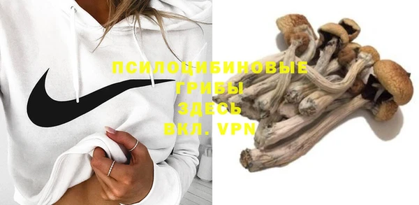 стафф Арсеньев