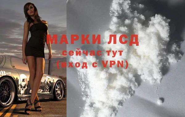 стафф Арсеньев