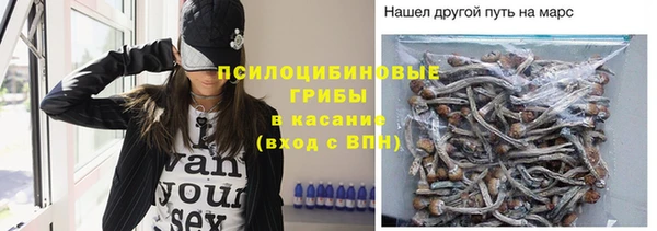 стафф Арсеньев