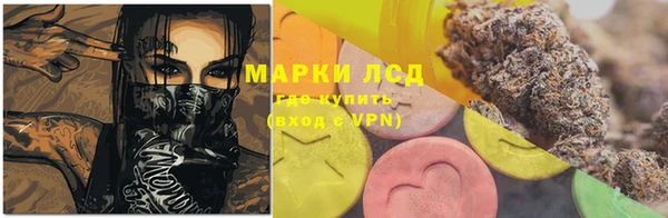 стафф Арсеньев